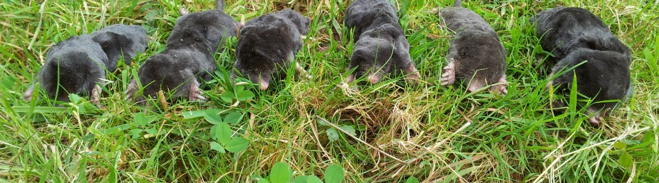 Your Just A Few Clicks Away